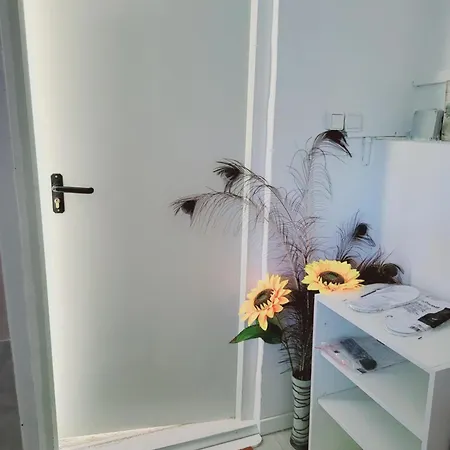 Loft Kandy 2